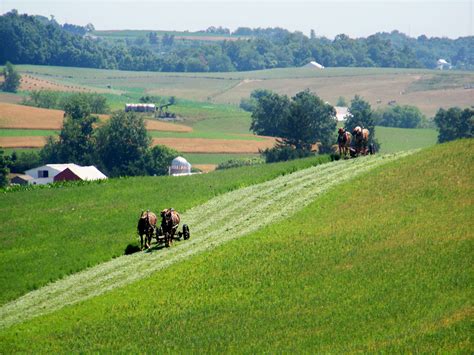 Holmes county amish wirch